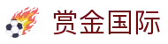赏金国际 - 追求卓越品质与极致服务的顶尖博弈入口